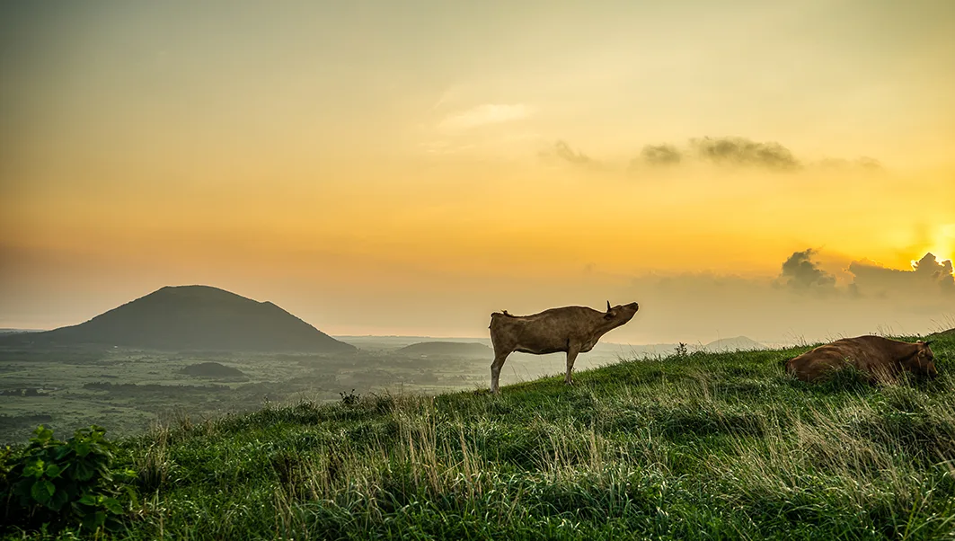 김수오, 〈오름의 아침〉, 2021, Pigment ink on FineArt Paper print, 70x40cm