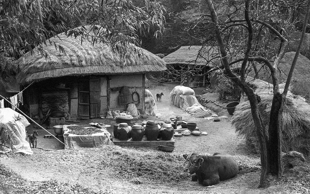 정영신, 〈1988 전남 강진〉, 2026, Pigment ink print, 80x50.5cm