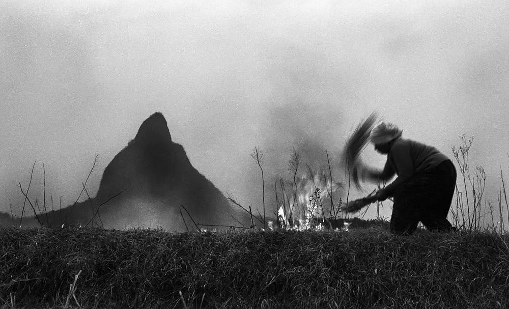 미술품 보관과 관리, 이것만 알면 OK