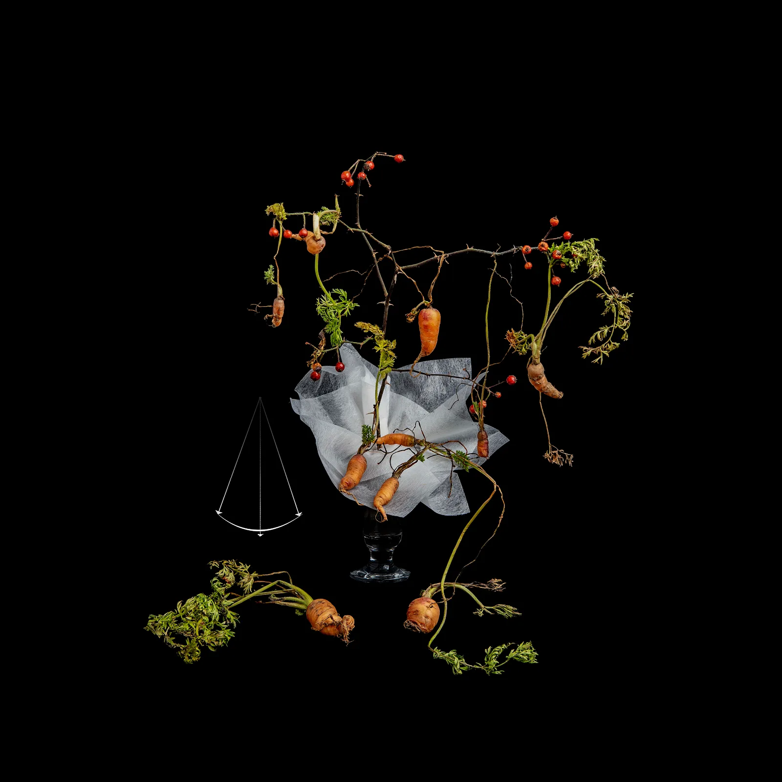 최재란, 〈쿼크의 시간 #111〉, 2024, Archival pigment print, 100x100cm