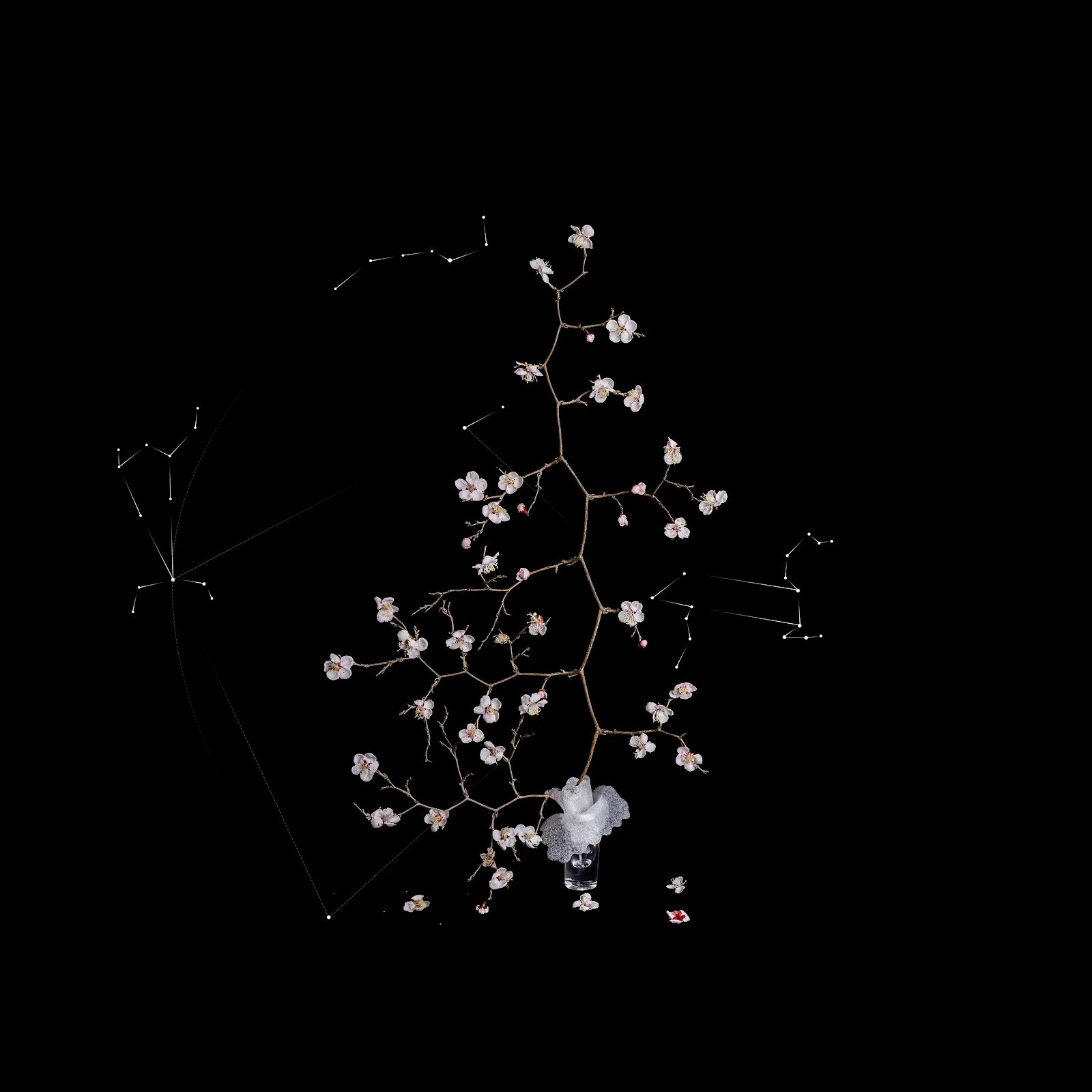 최재란, 〈쿼크의 시간#113〉, 2025, Archival pigment print