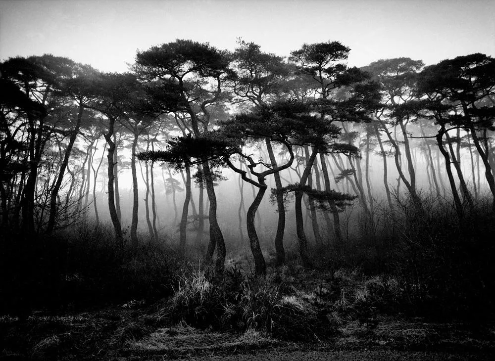 조문호, 〈2003 양산 영축산〉, 2026, Pigment ink print, 80x58.5cm