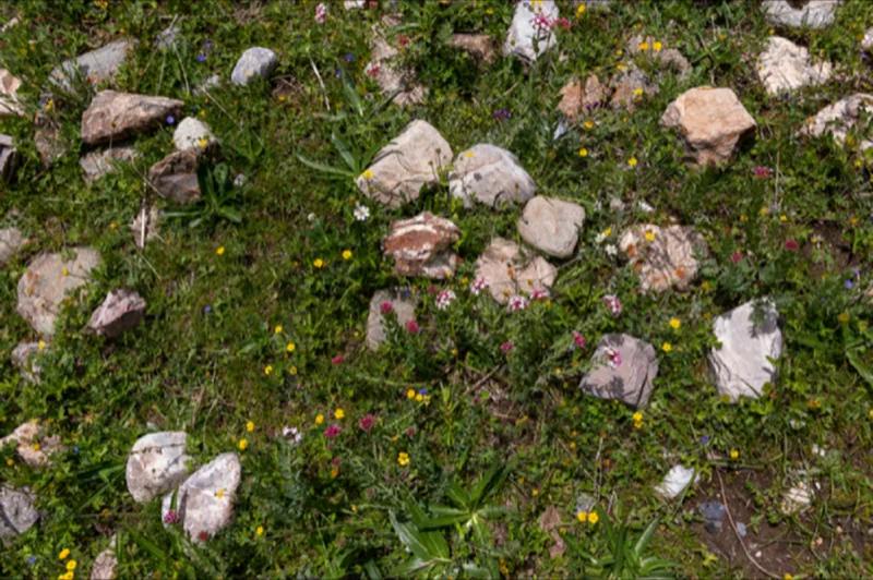 Jeong Geumhui, Flowers Fall and Return to Earth #16, 2018, archival pigment print