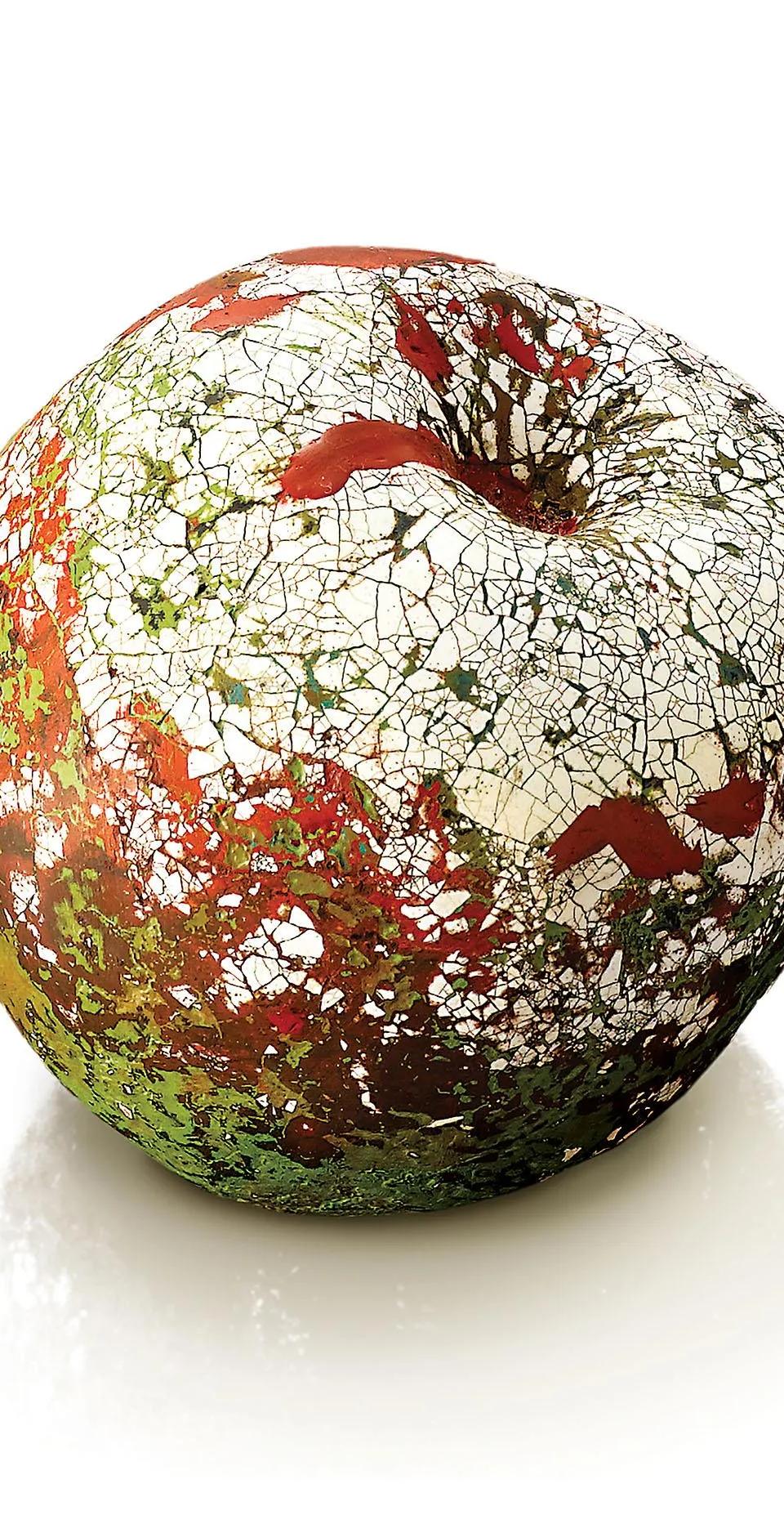 옻사과 - 정채희