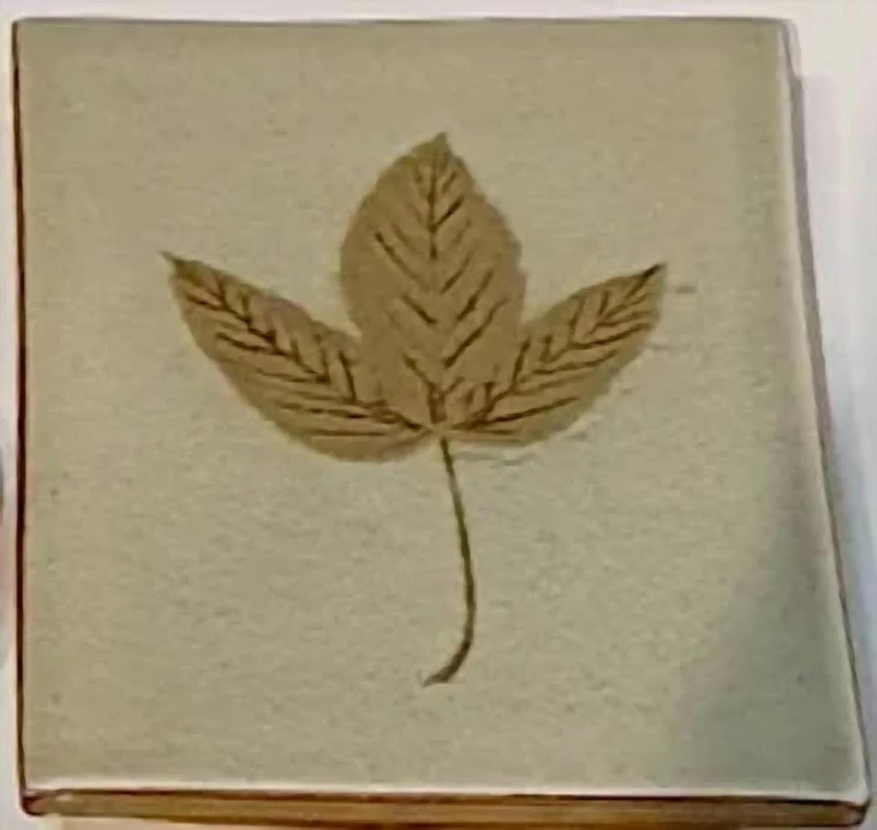 잎파리, 도자 - 김지영