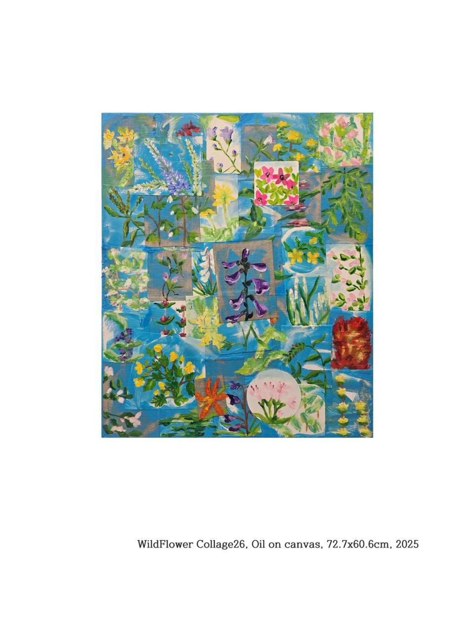 WildFlower Collage 26, Oil on canvas - 김우주