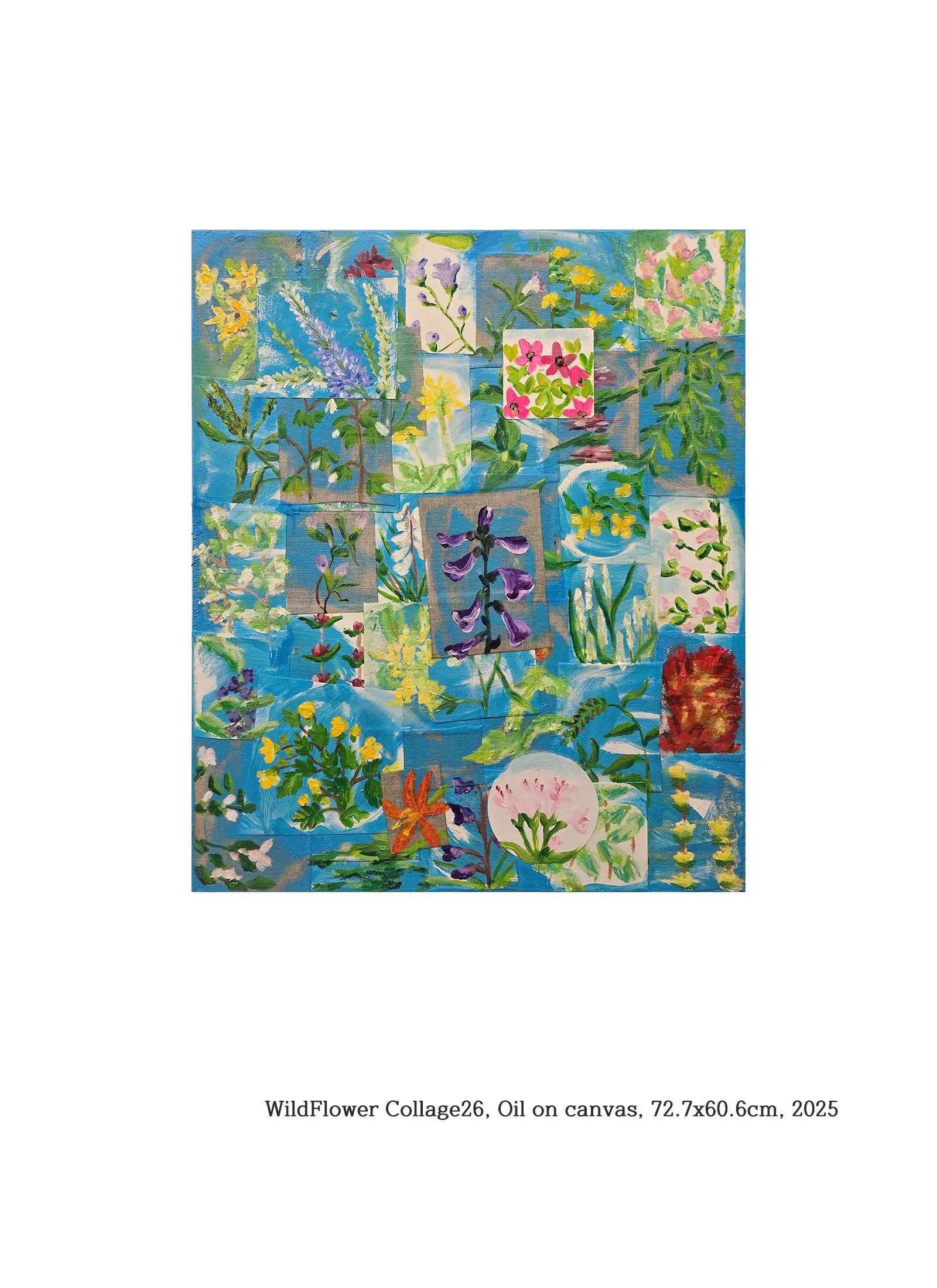 WildFlower Collage 26 - 김우주