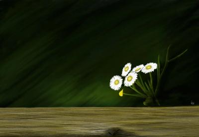 Grass, Flower! - 림지언(Ji-oen Lim)