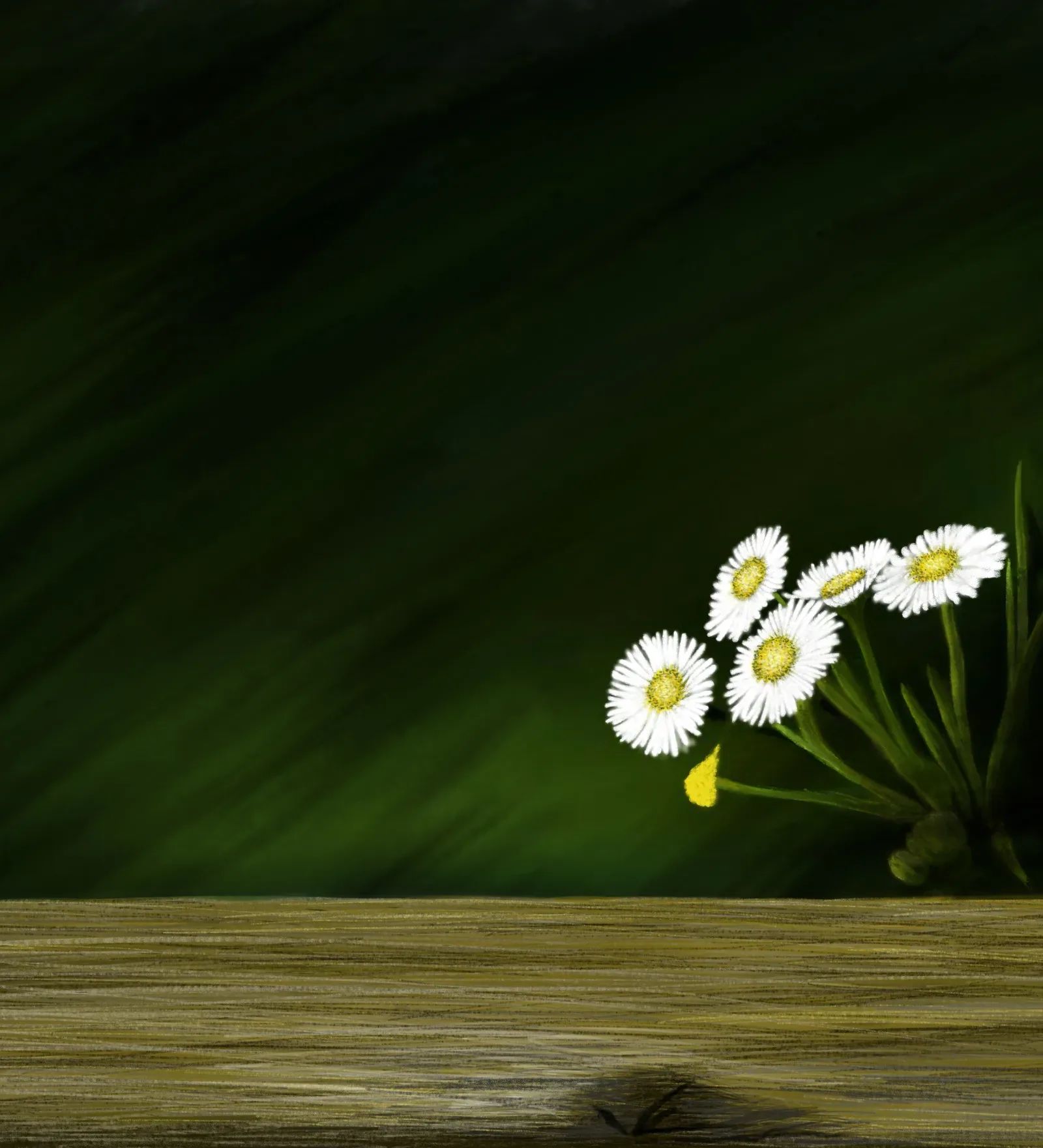 풀, 꽃! - 림지언