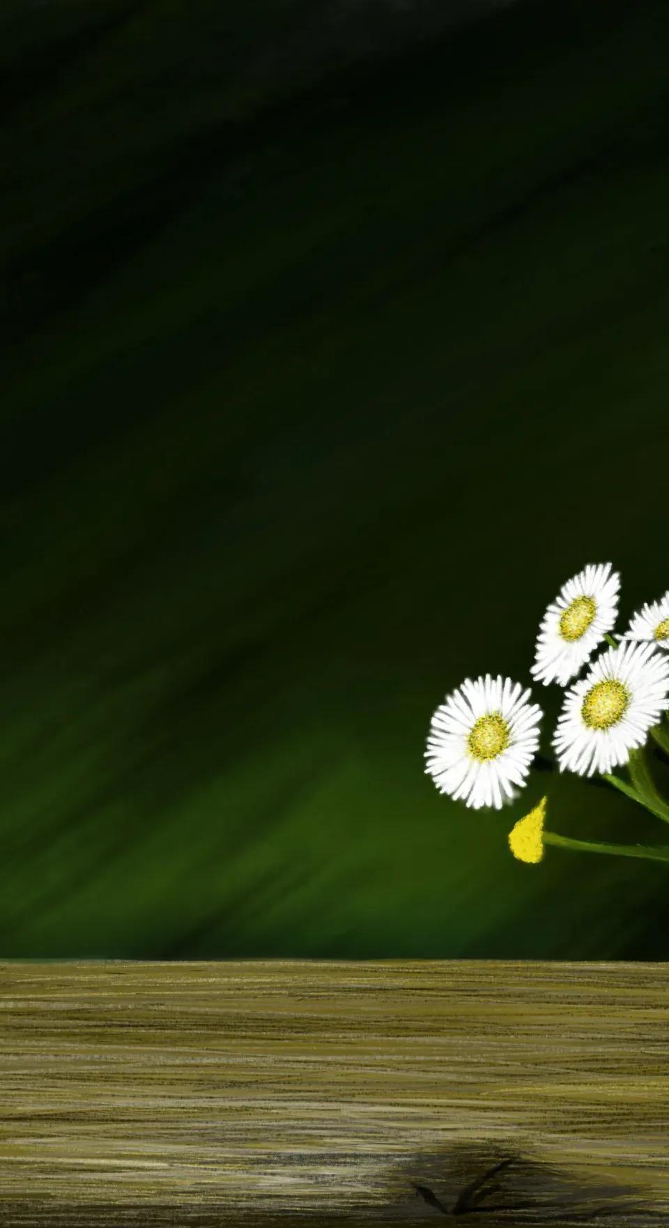 풀, 꽃! - 림지언