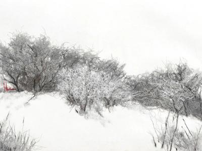 Snow Field 01 - Hong Jinhui