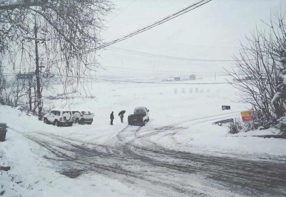바람과 빛-133, 캔버스에 유화 - 김규학