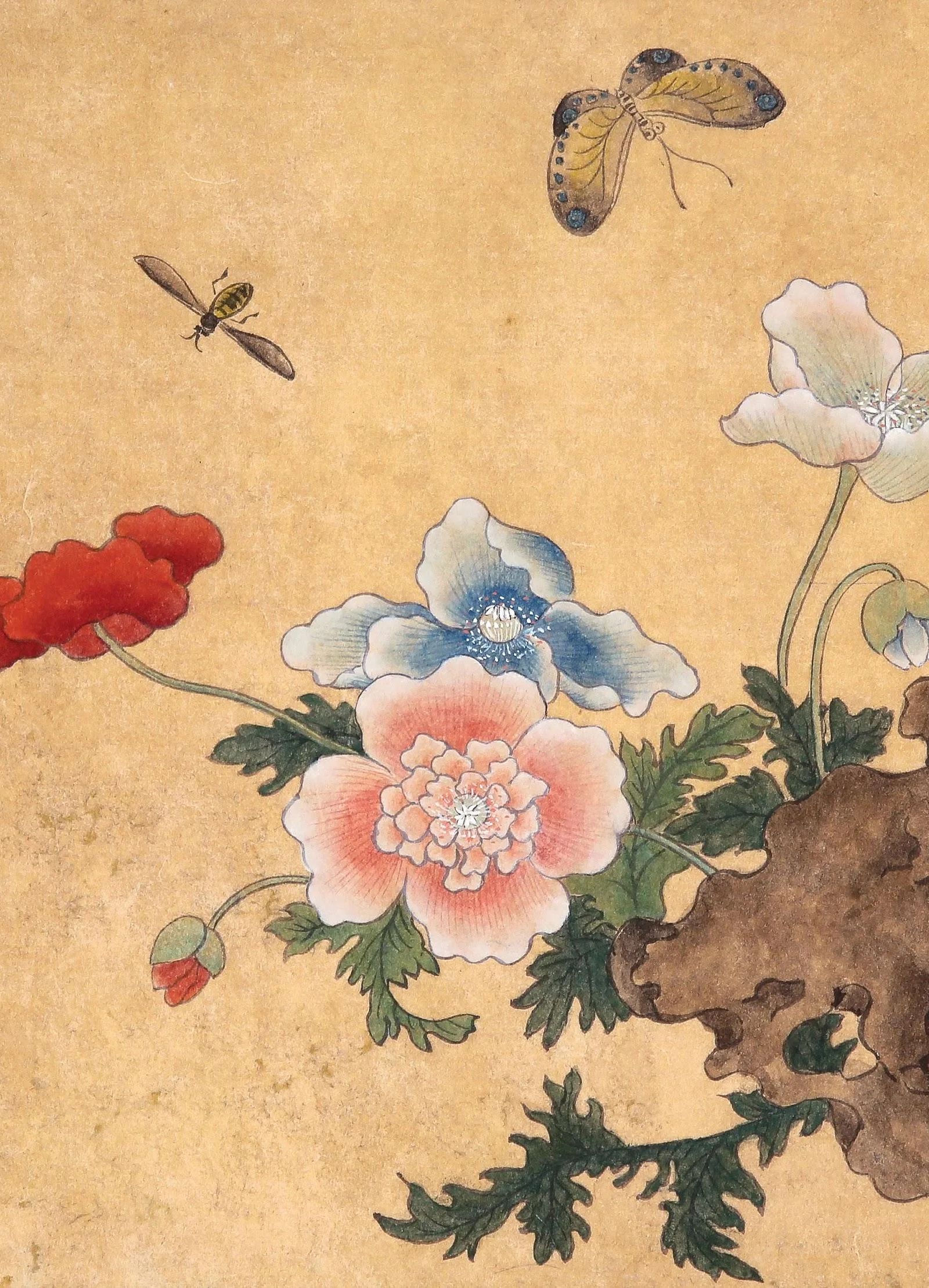 양귀비 - 조이락