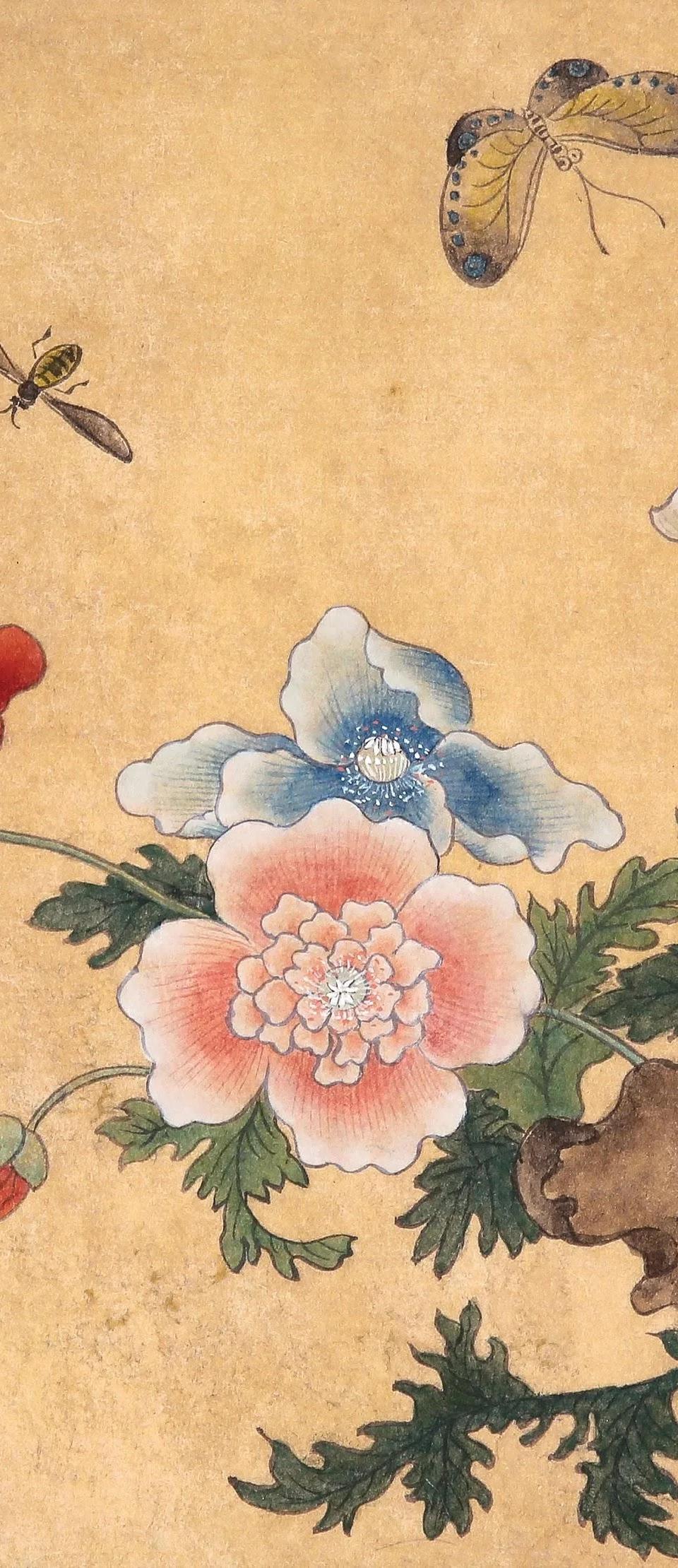 양귀비 - 조이락