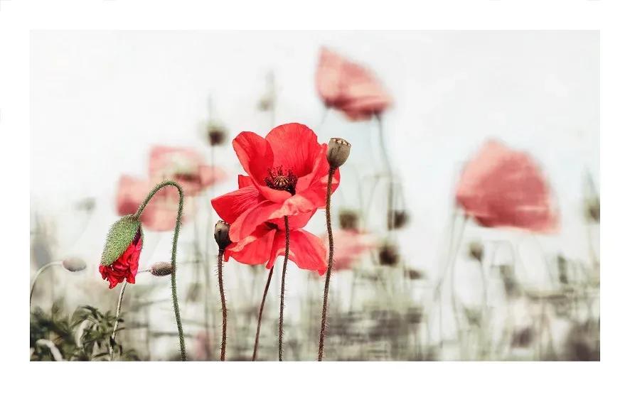 Encore, Signed Limited Edition  Fine Art Original Print - 이호철