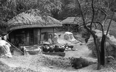 1988 Jeonnam Gangjin - Jeong Yeongsin