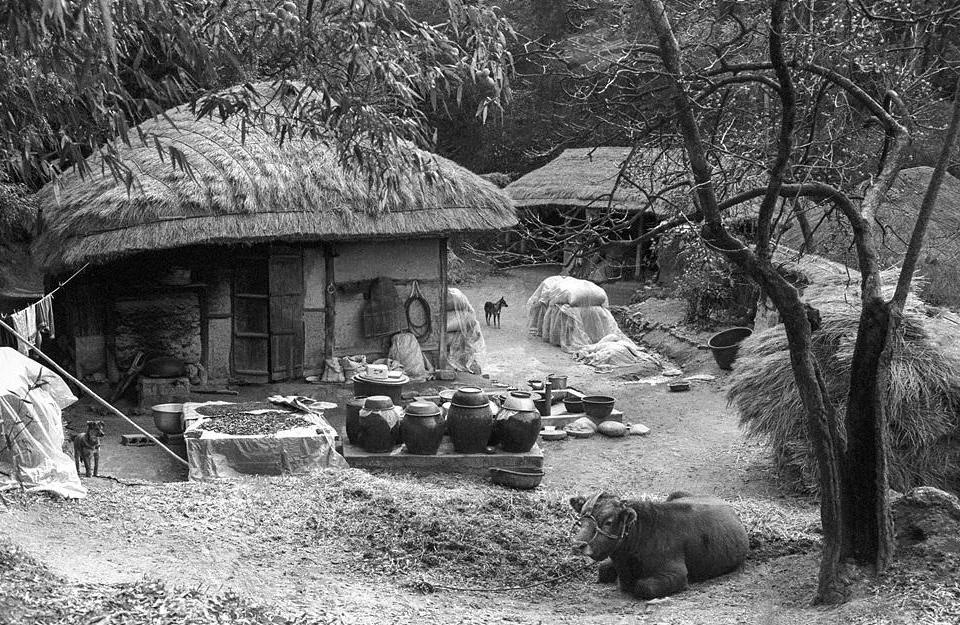 1988 전남 강진 - 정영신