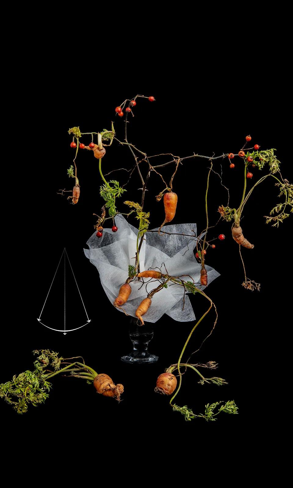 쿼크의 시간#111 - 최재란