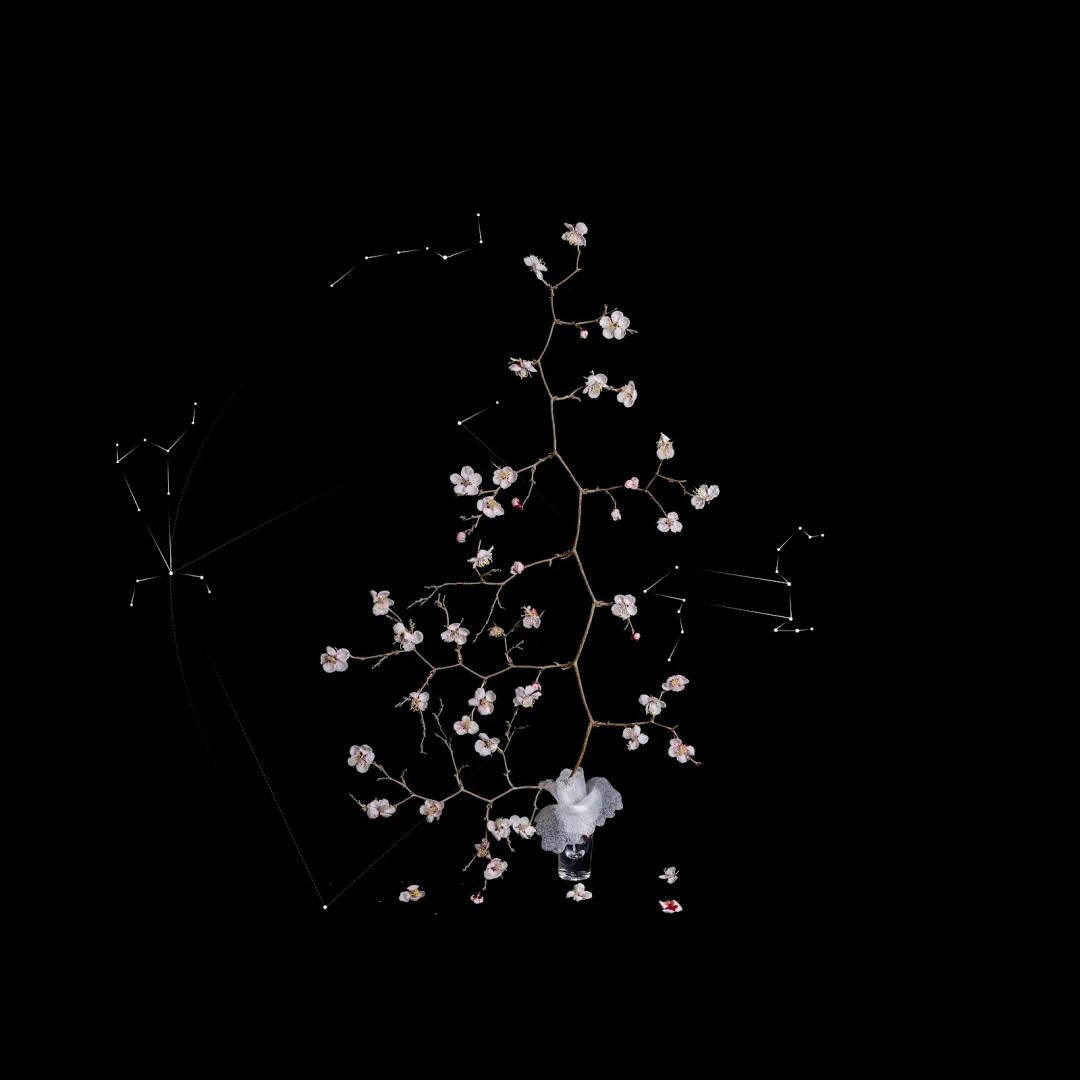Choe Jaeran, The Time of Quarks #113, 2025, archival pigment print
