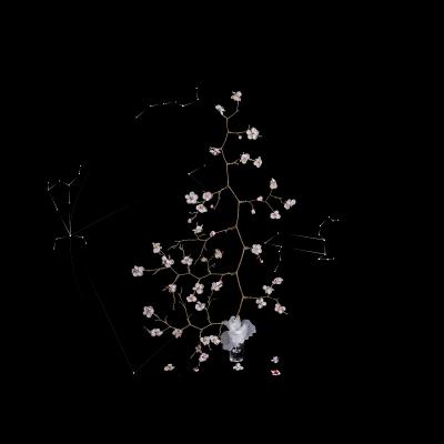 Time of Quarks #113 - Choi Jaeran