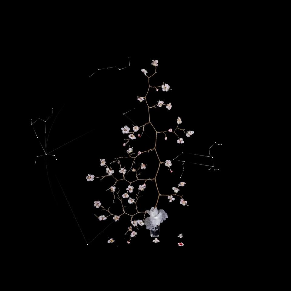 쿼크의 시간#113, Archival pigment print - 최재란