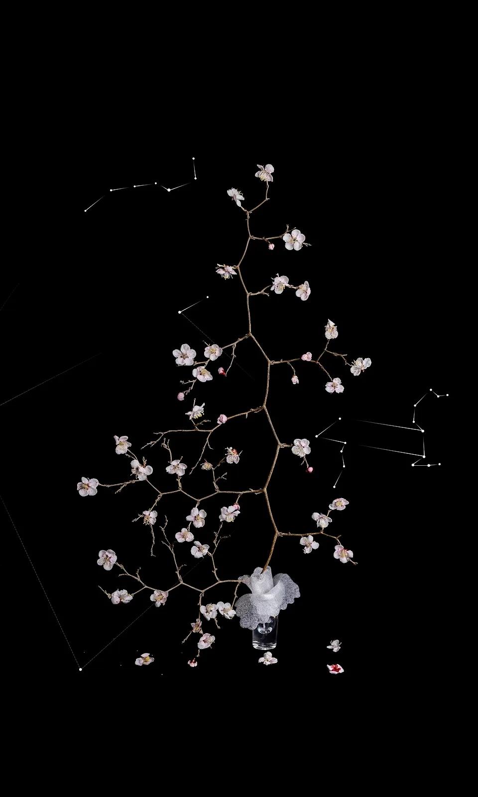 쿼크의 시간#113 - 최재란