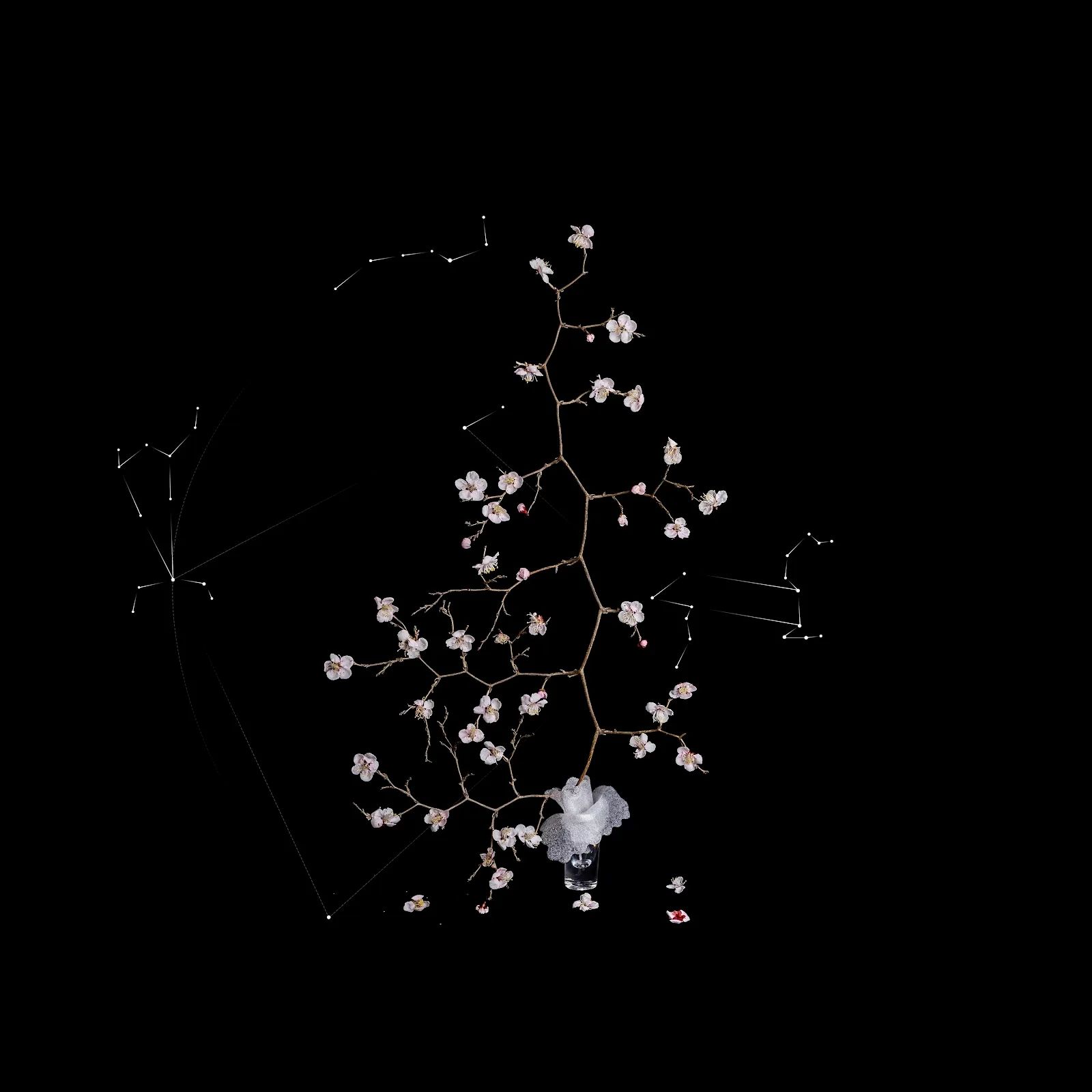 쿼크의 시간#113 - 최재란