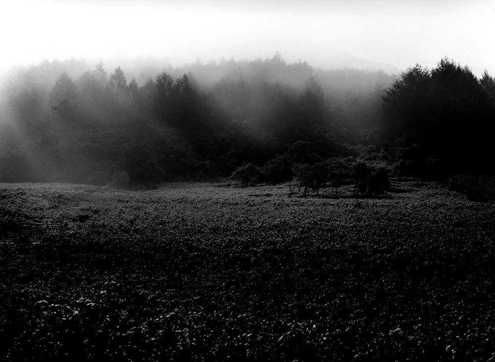 Cho Mun-ho, 2006 Jeongseon Giusan, pigment ink print, 80x58.5cm — a visual record of Korean mountains