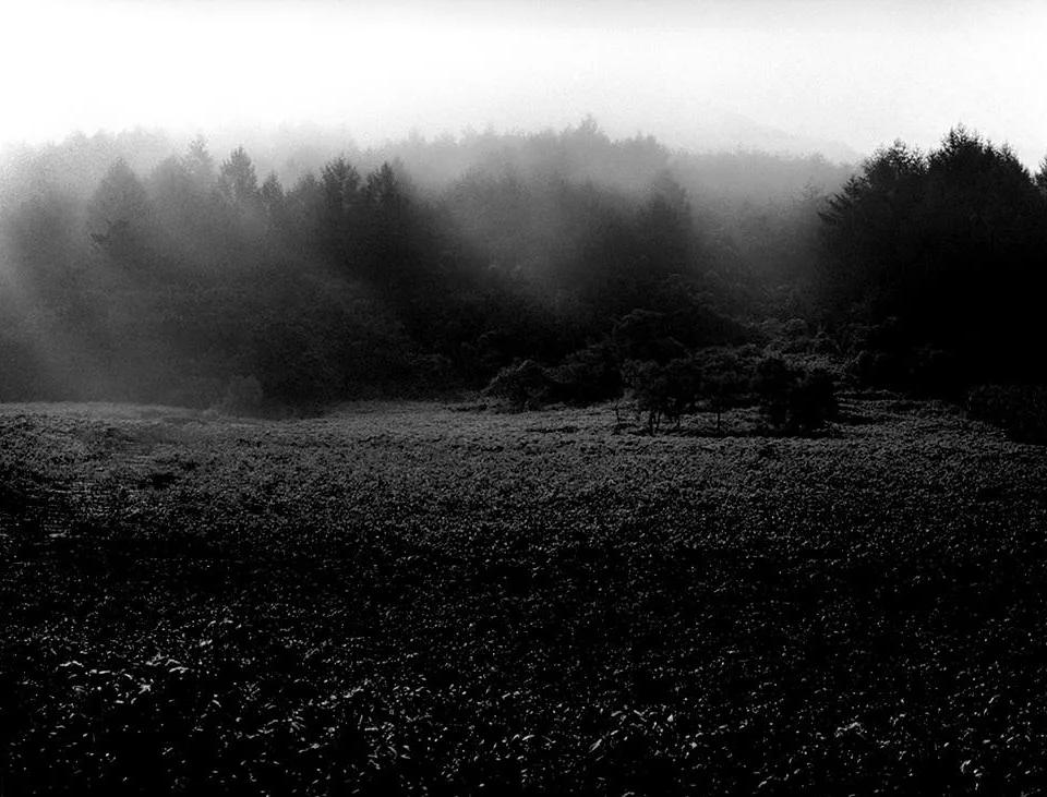 2006 정선 기우산 - 조문호