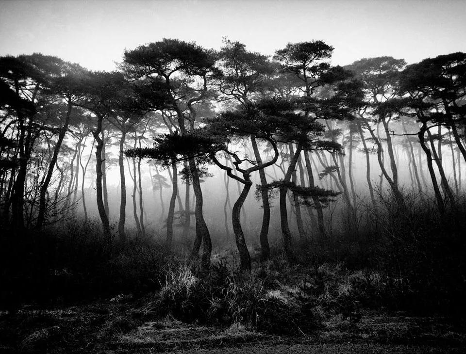 2003 양산 영축산 - 조문호