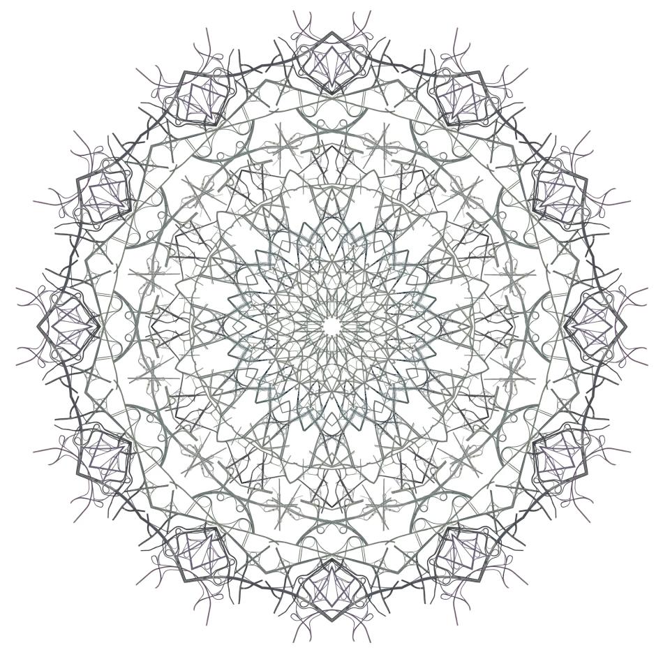 Ornament #3-1, 디지털 프린트, 디아섹 - 김태균